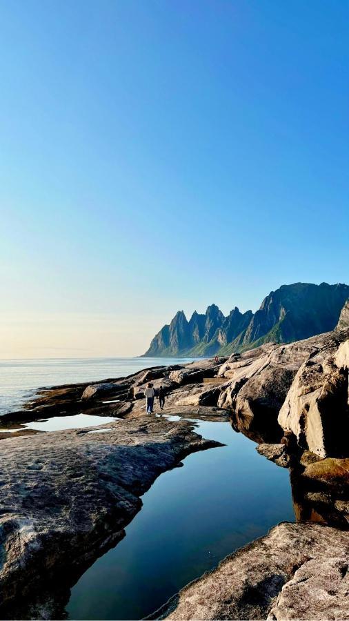 Face Of North Leilighet Gratangen Eksteriør bilde