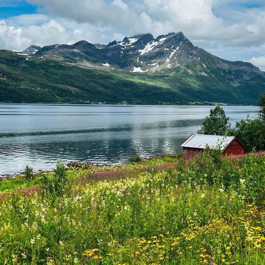 Face Of North Leilighet Gratangen Eksteriør bilde