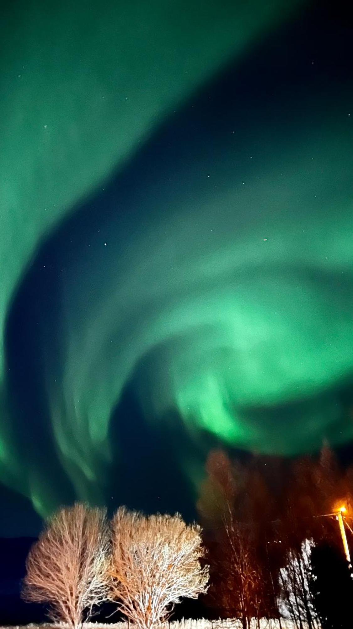 Face Of North Leilighet Gratangen Eksteriør bilde